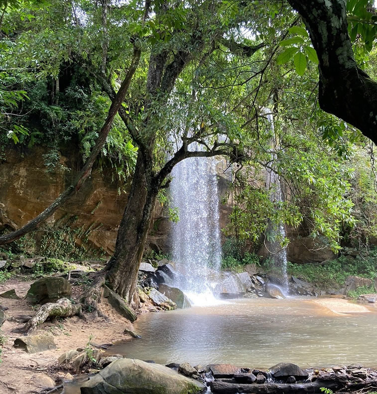 Shimba Hills National Reserve safari near Diani Beach
