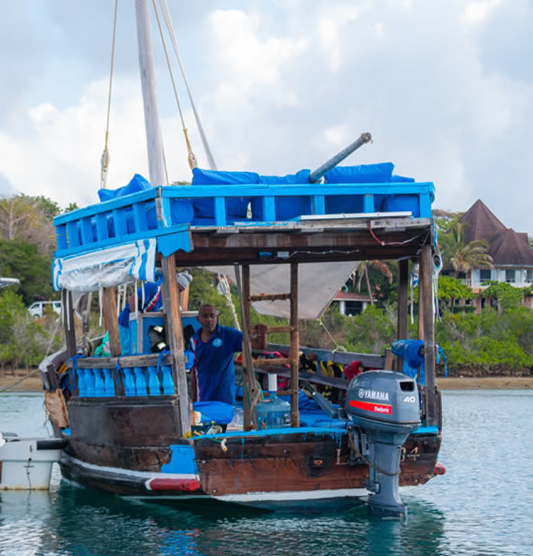 Wasini Island dolphin and snorkeling excursion